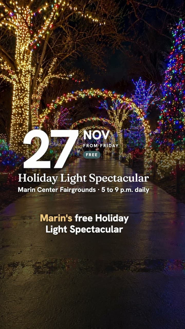 Video frame: a path strung with holiday lights and the Nov. 27 Holiday Light Spectacular date