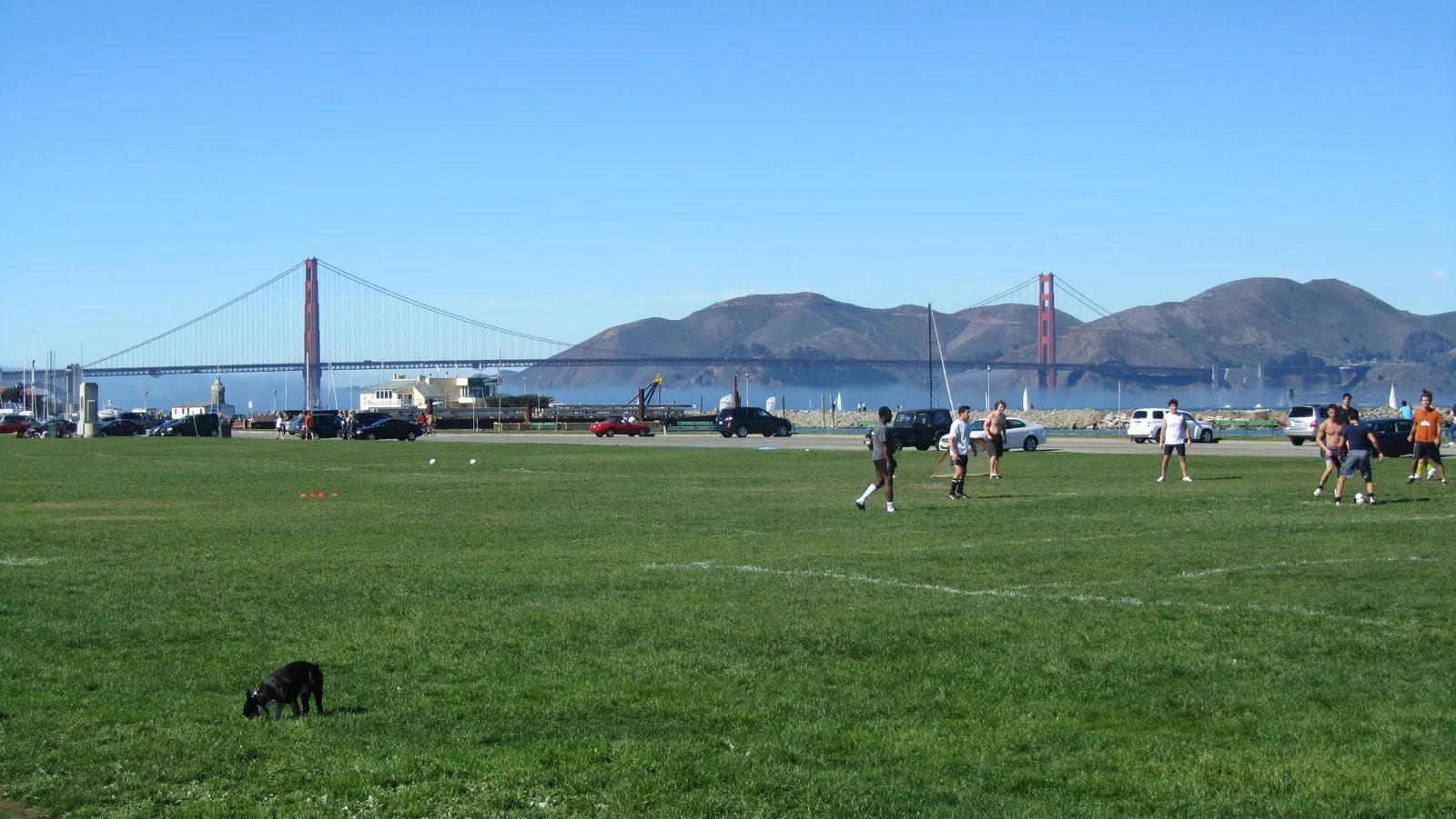 Marina Green lawn with people playing and the Golden Gate Bridge beyond.